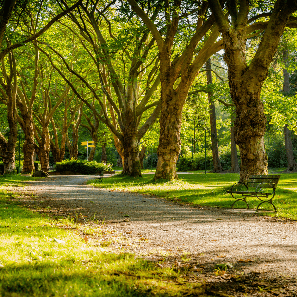 Hartwood park and its running trail in Allison Park, PA